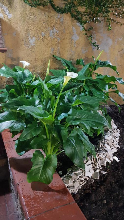 Il Giardino Sul Corso Apartment Scafati Luaran gambar