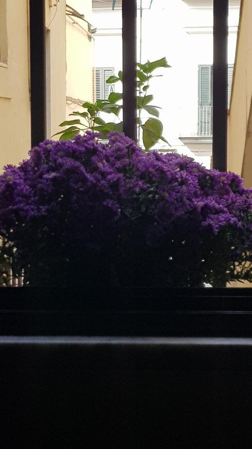 Il Giardino Sul Corso Apartment Scafati Luaran gambar