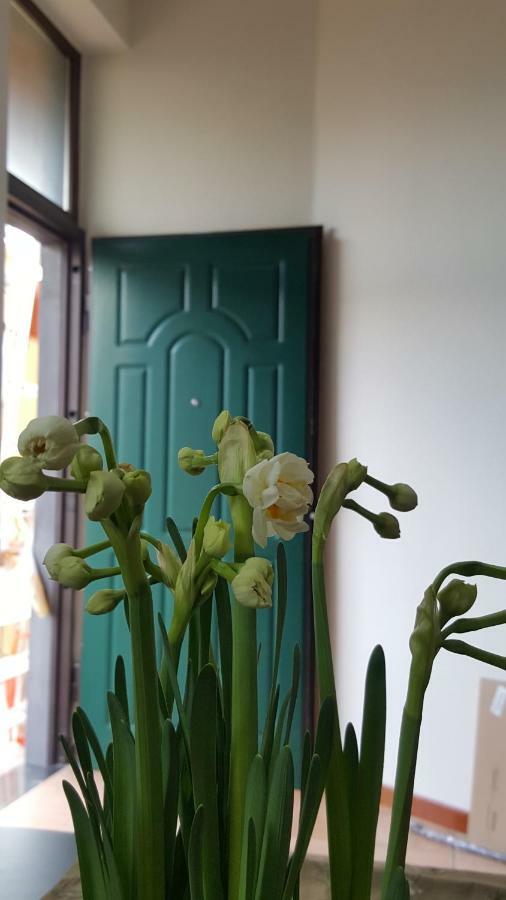 Il Giardino Sul Corso Apartment Scafati Luaran gambar