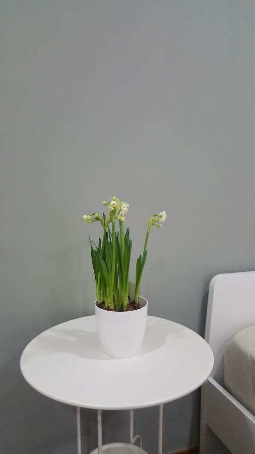 Il Giardino Sul Corso Apartment Scafati Luaran gambar